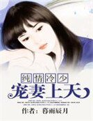 純情冷少寵妻上天