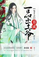 宅鬥之養成一品小王爺
