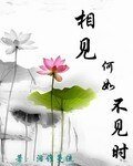 相见何如不见时