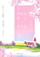 我站在桥上看风景(完美纪念版)