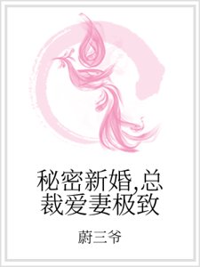 秘密新婚,總裁愛妻極致