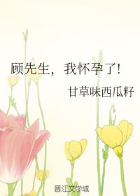 《顧先生,我懷孕了!》