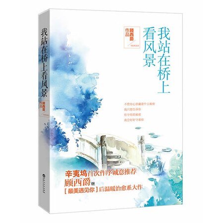 我站在桥上看风景(出书版)