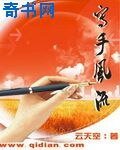 寫手風流