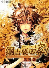 《(fate/zero同人/BL)綱吉要回家》