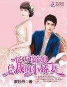 亿万新娘:总裁的小娇妻