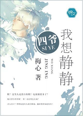 《四爺,我想靜靜》