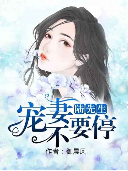 陸先生,寵妻不要停