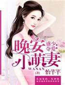 盛少奪愛:晚安小萌妻