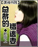 總裁的錯逃妻