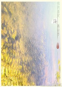陪我看完海再分手