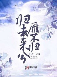 歸去來兮雁不歸