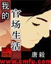 我的官場生活(又名:市委書記)