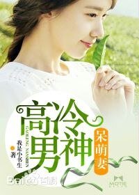 高冷男神呆萌妻/先生,你上頭條啦