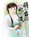 萌妃当道:征服杀手妻