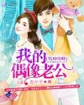 男神攻略:我的偶像老公