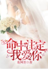 命中註定我愛你/我的唯一註定是你
