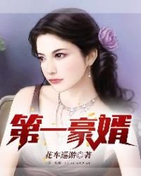 第一豪婿