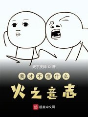 我才不信什麼火之意志