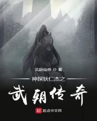 神探狄仁傑之武朝傳奇