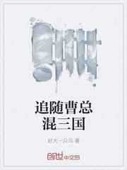追隨曹總混三國
