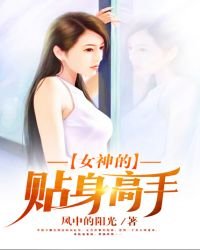 《女神的貼身高手》