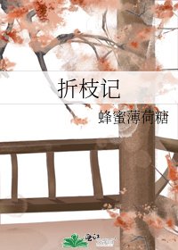 折枝記