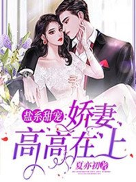鹽系甜寵:嬌妻高高在上