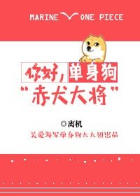 (BG/海賊王同人)你好,單身狗赤犬大將