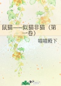 鼠貓——似貓非貓（第一卷）