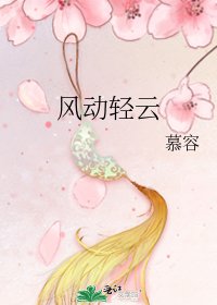 风动轻云