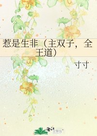 惹是生非(主双子,全王道)
