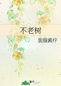 不老树