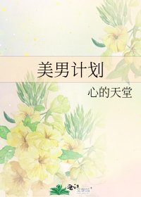 美男计划