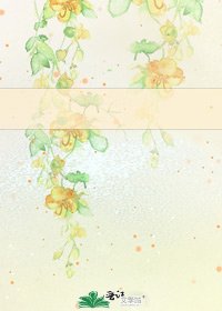 雍武史略