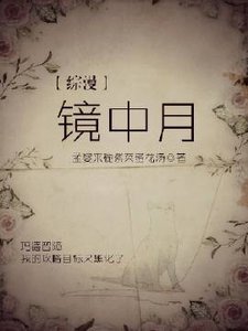 《【綜漫】鏡中月》