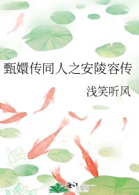 甄嬛传同人之安陵容传