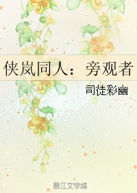 (侠岚同人)侠岚同人:旁观者