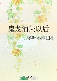 鬼龍消失以後