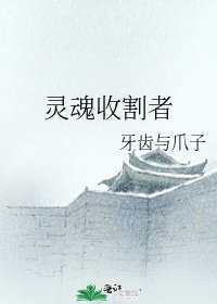 灵魂收割者