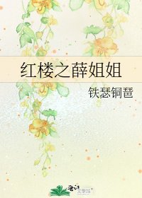 紅樓之薛姐姐
