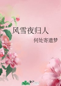 風雪夜歸人