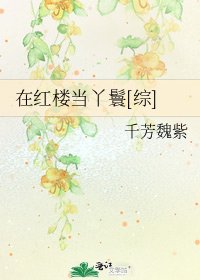 在紅樓當丫鬟[綜]