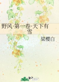 野風·第一卷·天下有雪