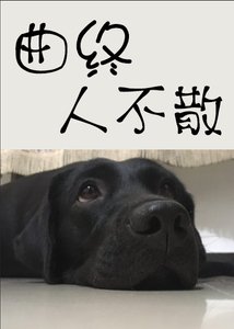 曲终人不散
