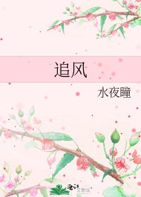 追风