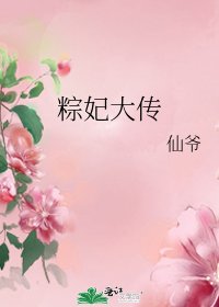粽妃大传