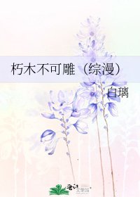 朽木不可雕(綜漫)