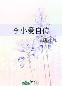 李小艾自傳
