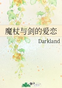 魔杖与剑的爱恋
